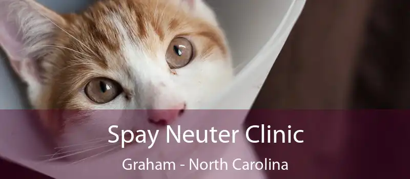 Spay Neuter Clinic Graham - North Carolina