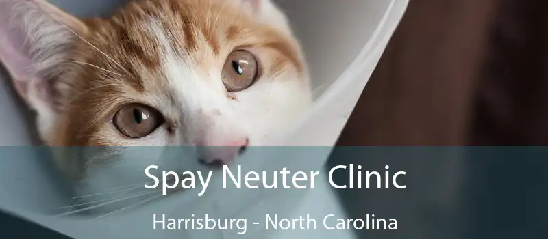 Spay Neuter Clinic Harrisburg - North Carolina