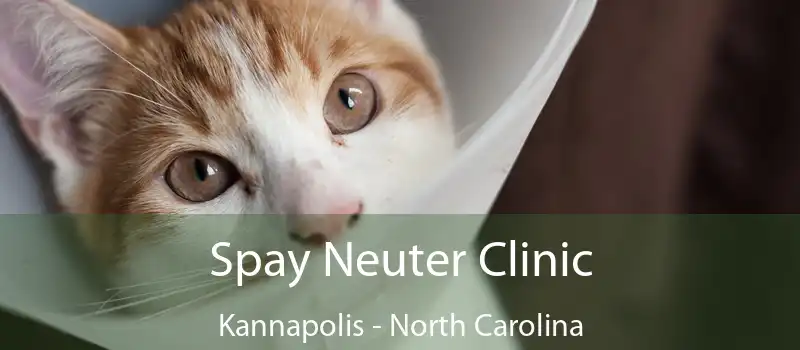 Spay Neuter Clinic Kannapolis - North Carolina