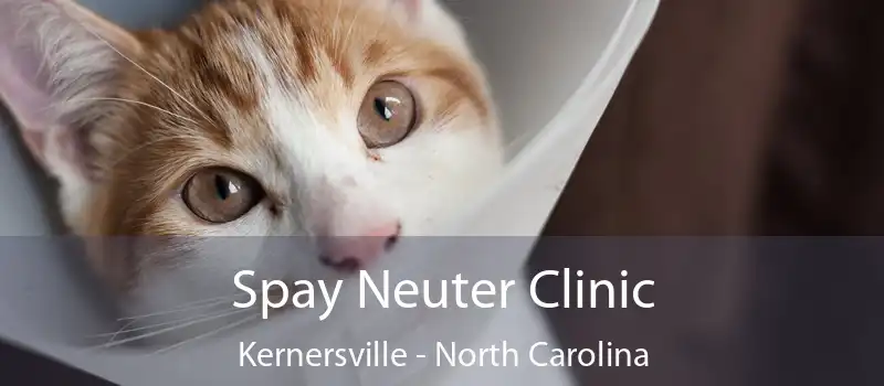 Spay Neuter Clinic Kernersville - North Carolina