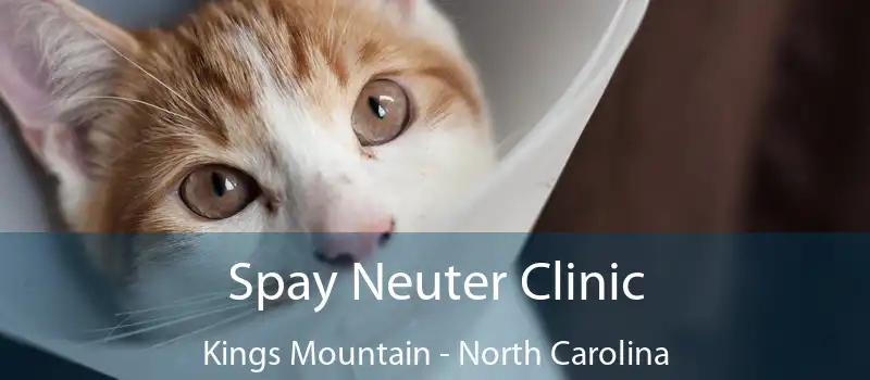 Spay Neuter Clinic Kings Mountain - North Carolina