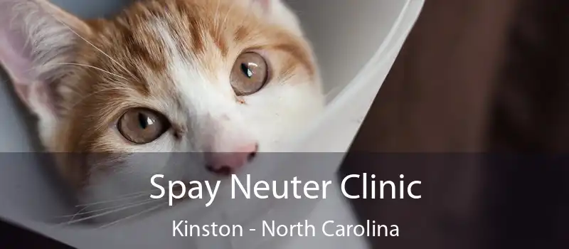 Spay Neuter Clinic Kinston - North Carolina