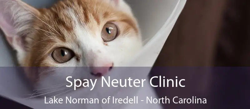 Spay Neuter Clinic Lake Norman of Iredell - North Carolina