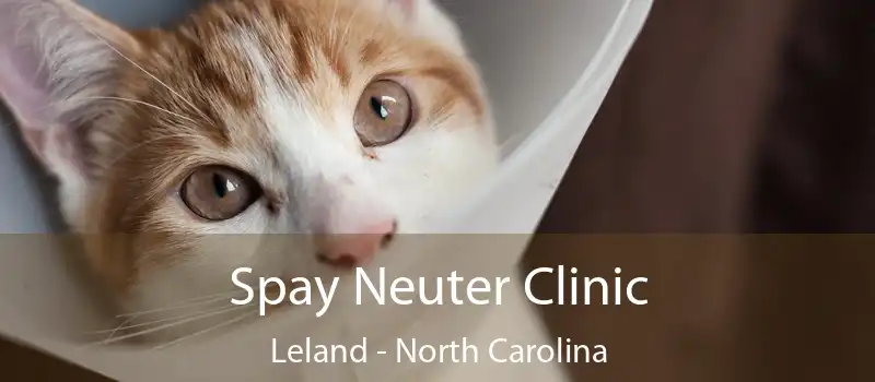 Spay Neuter Clinic Leland - North Carolina