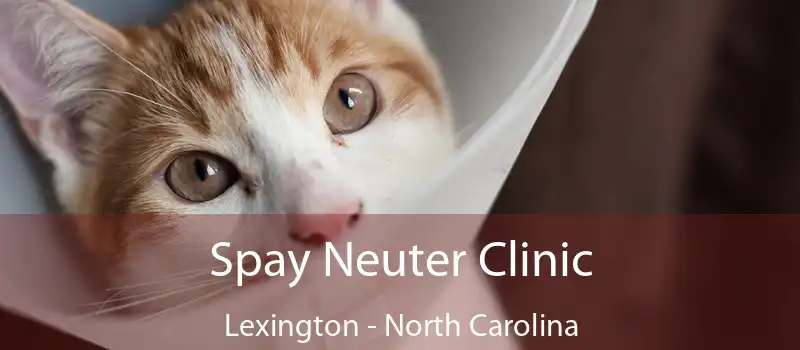 Spay Neuter Clinic Lexington - North Carolina