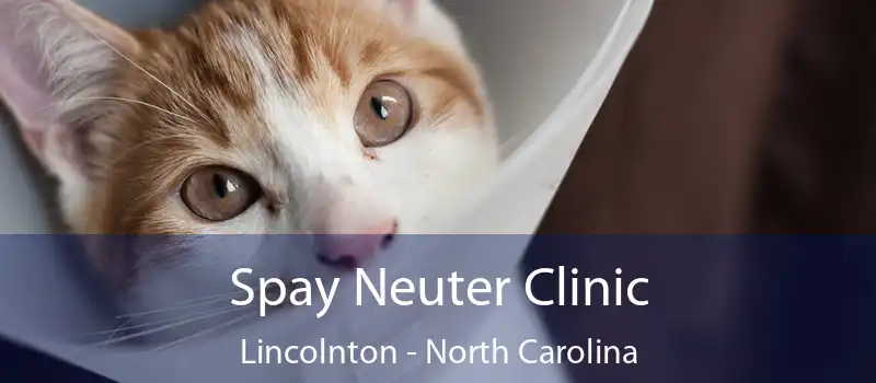 Spay Neuter Clinic Lincolnton - North Carolina