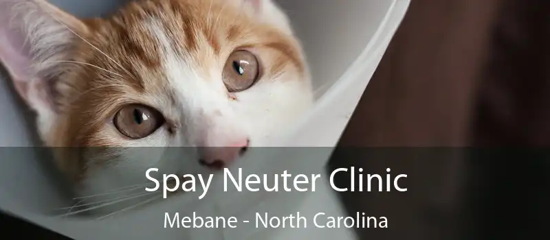 Spay Neuter Clinic Mebane - North Carolina