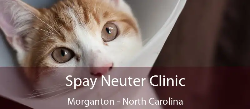 Spay Neuter Clinic Morganton - North Carolina