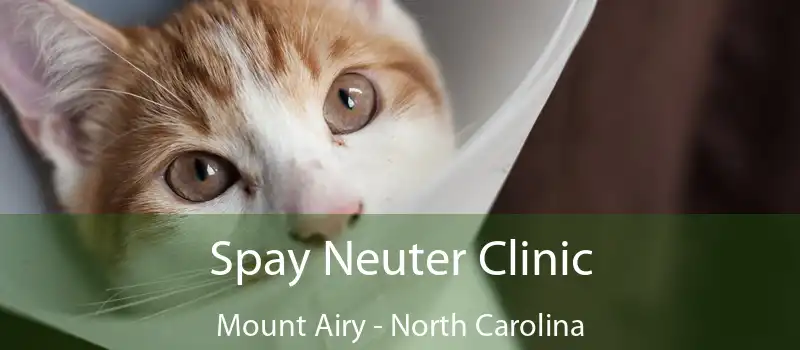 Spay Neuter Clinic Mount Airy - North Carolina