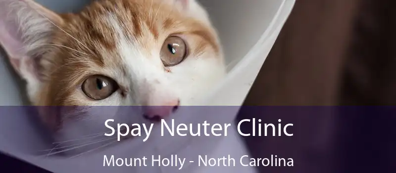 Spay Neuter Clinic Mount Holly - North Carolina