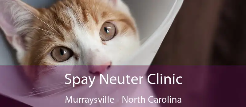 Spay Neuter Clinic Murraysville - North Carolina