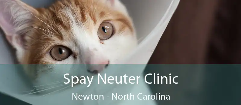 Spay Neuter Clinic Newton - North Carolina