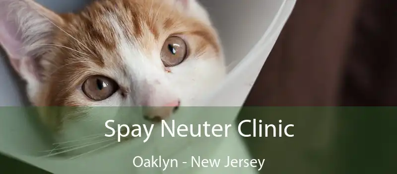 Spay Neuter Clinic Oaklyn - New Jersey