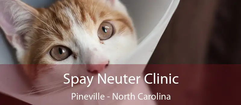 Spay Neuter Clinic Pineville - North Carolina