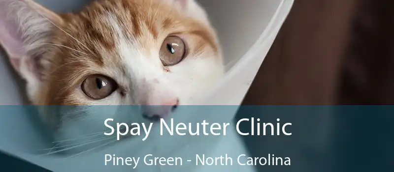 Spay Neuter Clinic Piney Green - North Carolina