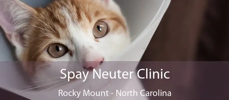 Spay Neuter Clinic Rocky Mount - North Carolina