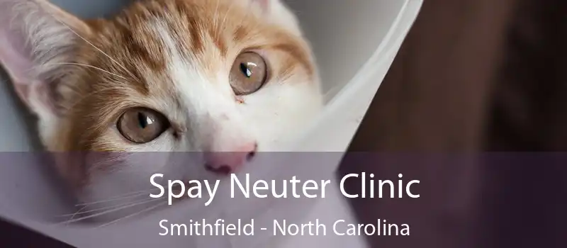 Spay Neuter Clinic Smithfield - North Carolina