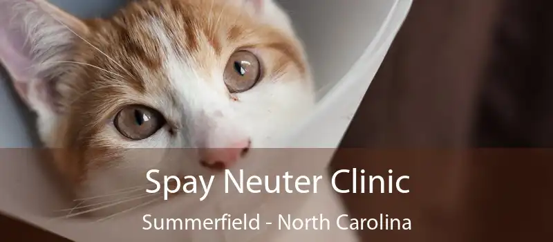 Spay Neuter Clinic Summerfield - North Carolina