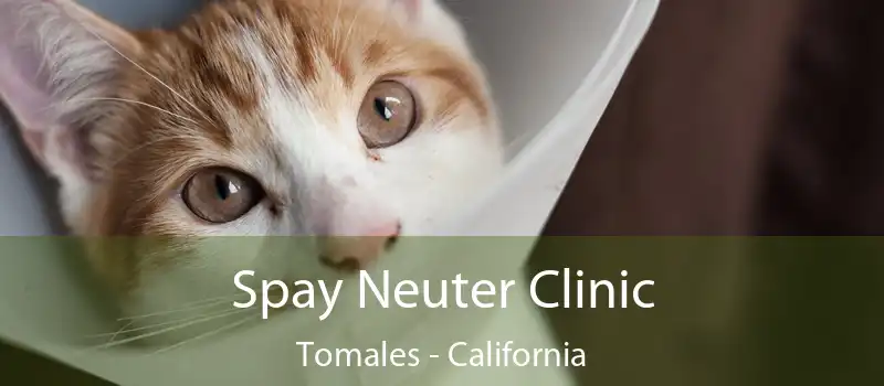 Spay Neuter Clinic Tomales - California