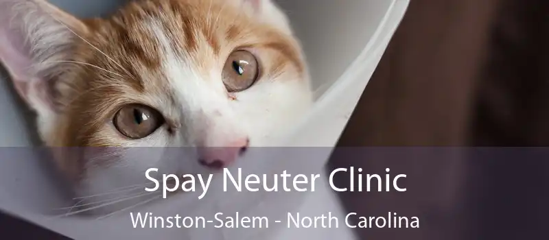 Spay Neuter Clinic Winston-Salem - North Carolina