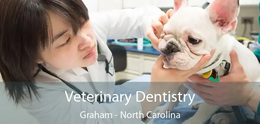 Veterinary Dentistry Graham - North Carolina