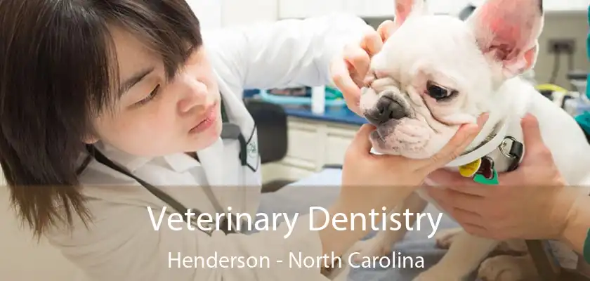 Veterinary Dentistry Henderson - North Carolina