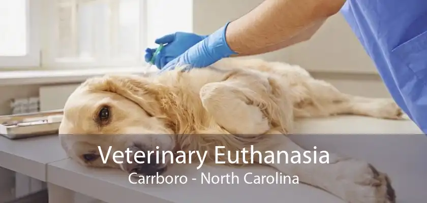 Veterinary Euthanasia Carrboro - North Carolina