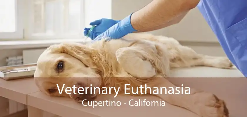 Veterinary Euthanasia Cupertino - California