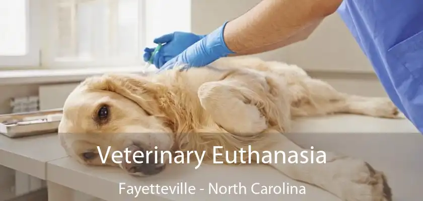 Veterinary Euthanasia Fayetteville - North Carolina