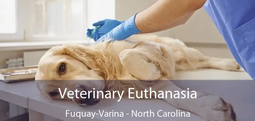 Veterinary Euthanasia Fuquay-Varina - North Carolina