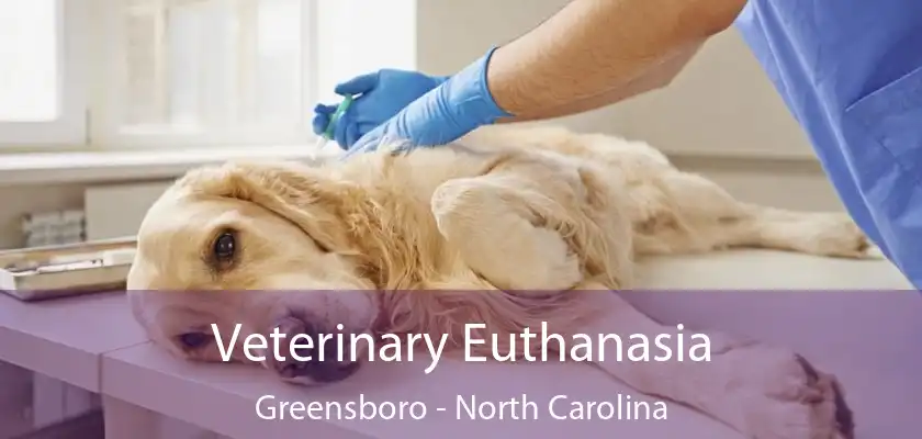 Veterinary Euthanasia Greensboro - North Carolina