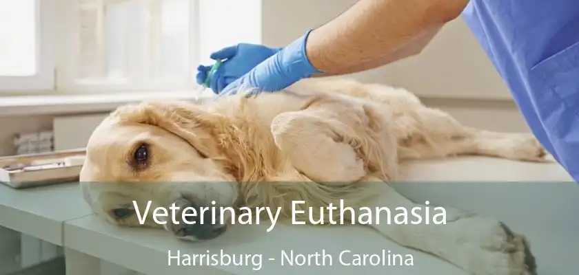 Veterinary Euthanasia Harrisburg - North Carolina