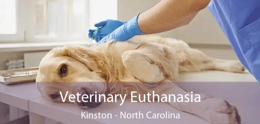 Veterinary Euthanasia Kinston - North Carolina