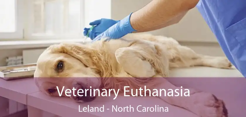 Veterinary Euthanasia Leland - North Carolina