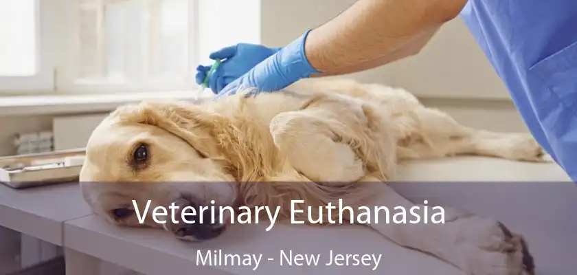 Veterinary Euthanasia Milmay - New Jersey