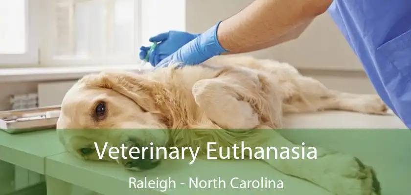 Veterinary Euthanasia Raleigh - North Carolina