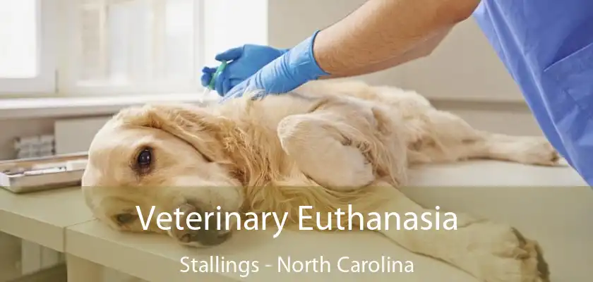 Veterinary Euthanasia Stallings - North Carolina