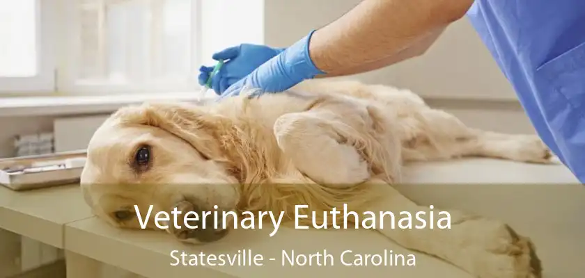 Veterinary Euthanasia Statesville - North Carolina