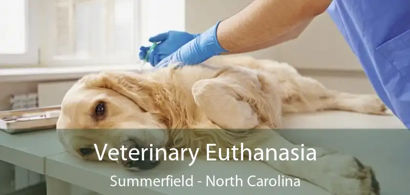 Veterinary Euthanasia Summerfield - North Carolina