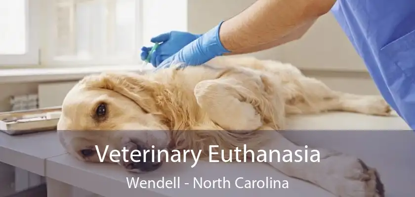 Veterinary Euthanasia Wendell - North Carolina